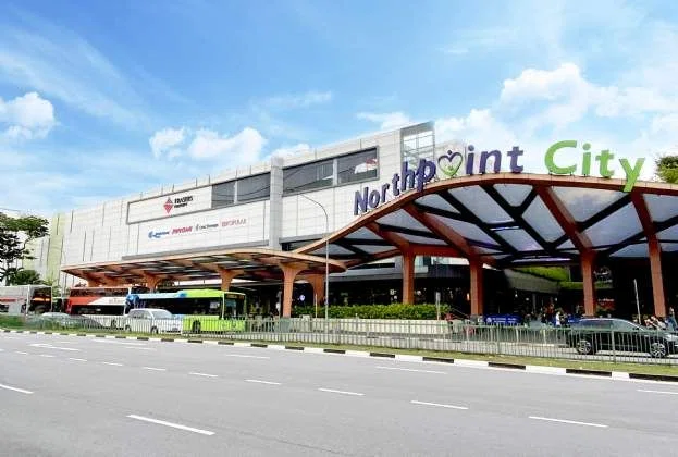Singapore Investment Briefing Q3 2020