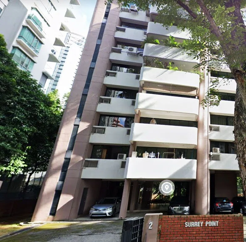 Former Surrey Point New Launch Condo up for en bloc deals with S$47.8m