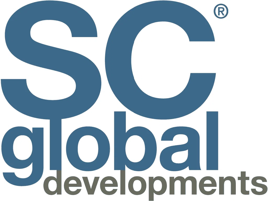 developer logo
