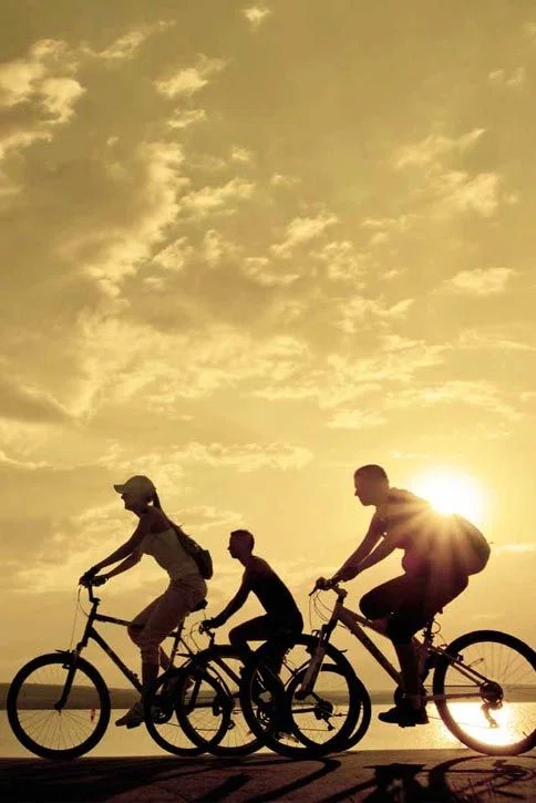 sports and leisure
