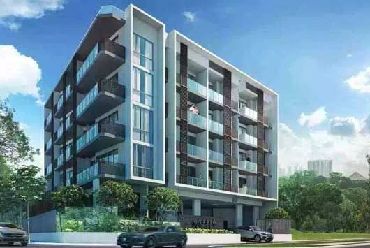 Cassia Edge