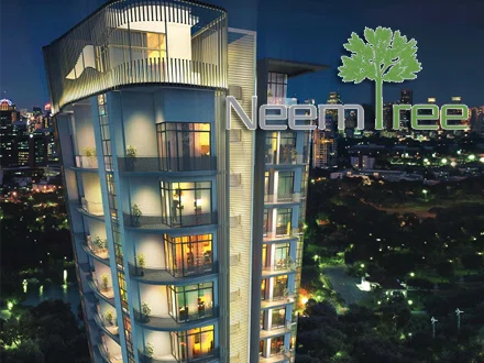 Neem Tree