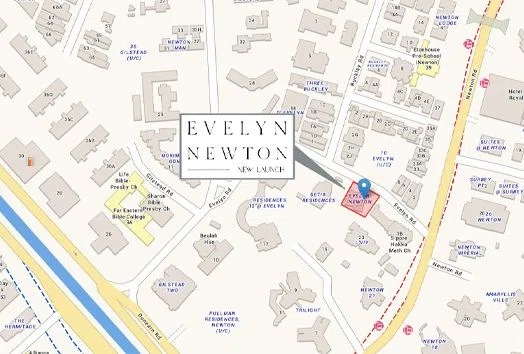 Evelyn Newton New Launch