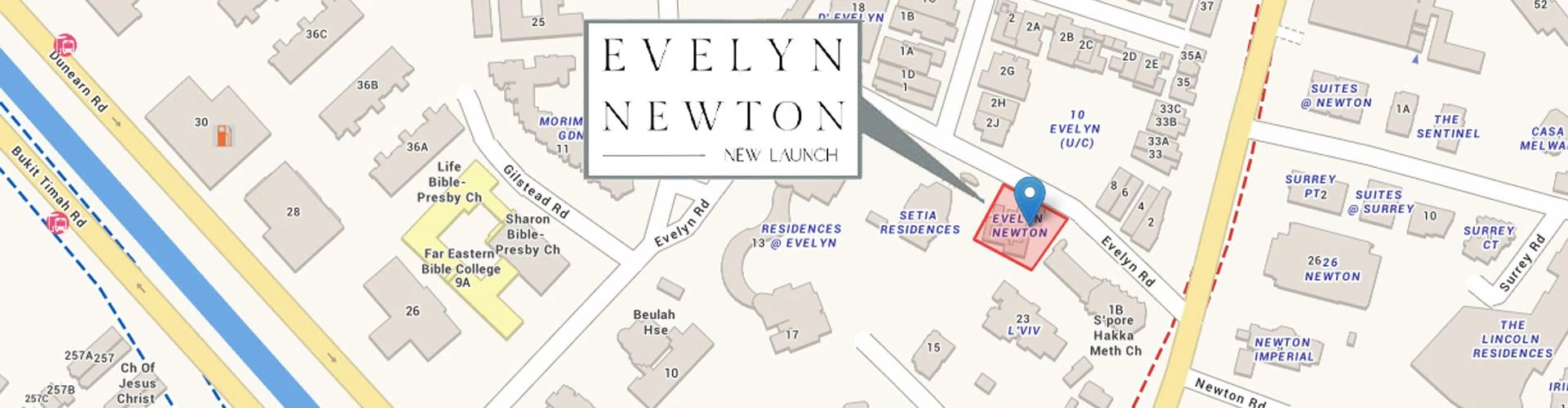 Evelyn Newton New Launch